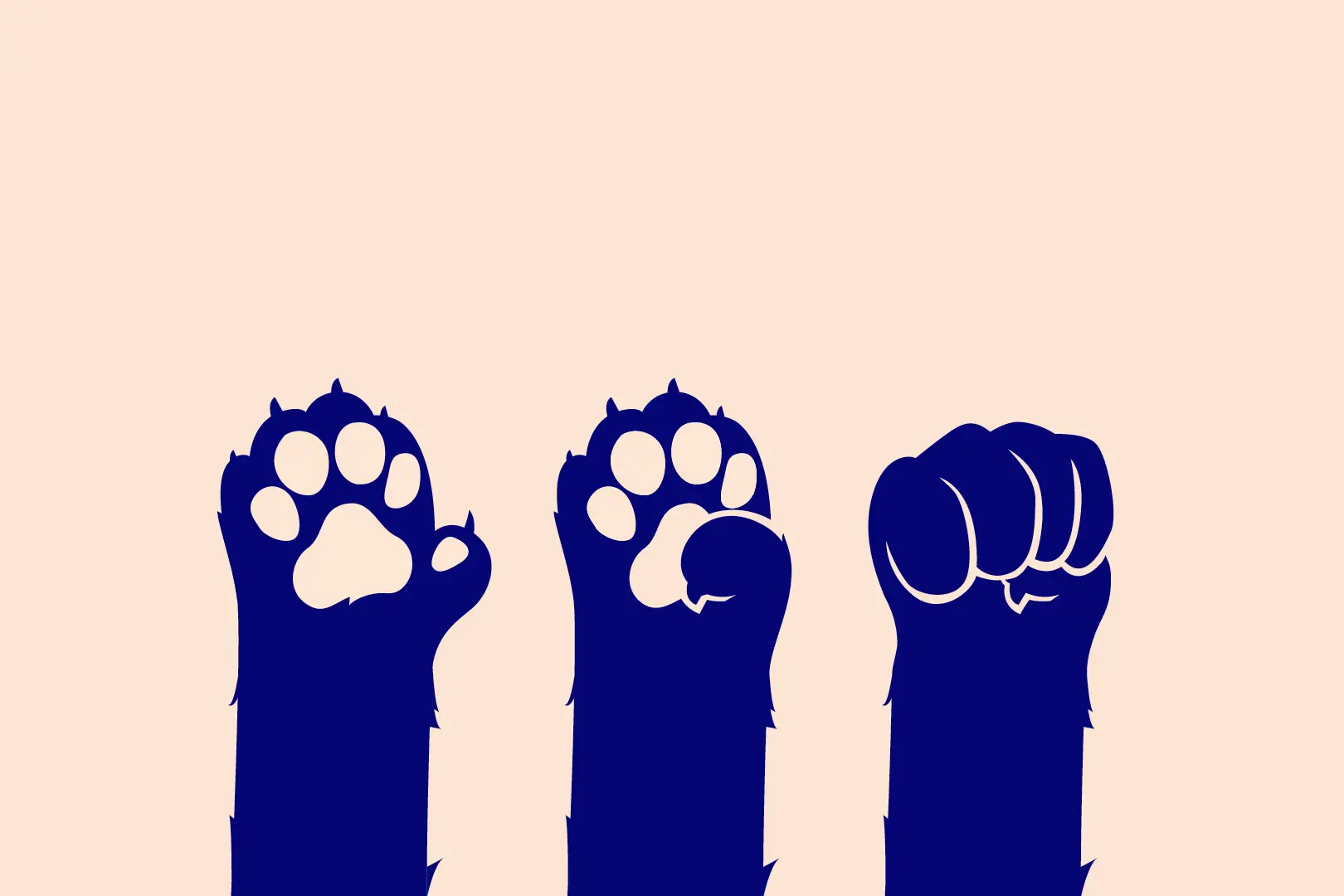 Illustration von drei erhobenen Katzenpfoten auf rosa Hintergrund – zwei mit offenen Ballen, eine zur Faust geballt.